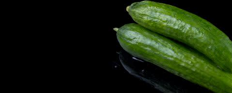 PRIMETIME Nat Cucumber Flavor WONF (BD-10320) banner