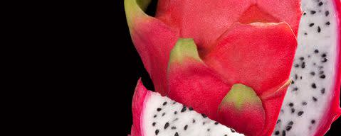 PRIMETIME Nat Dragonfruit Flavor WONF (BD-10780) banner