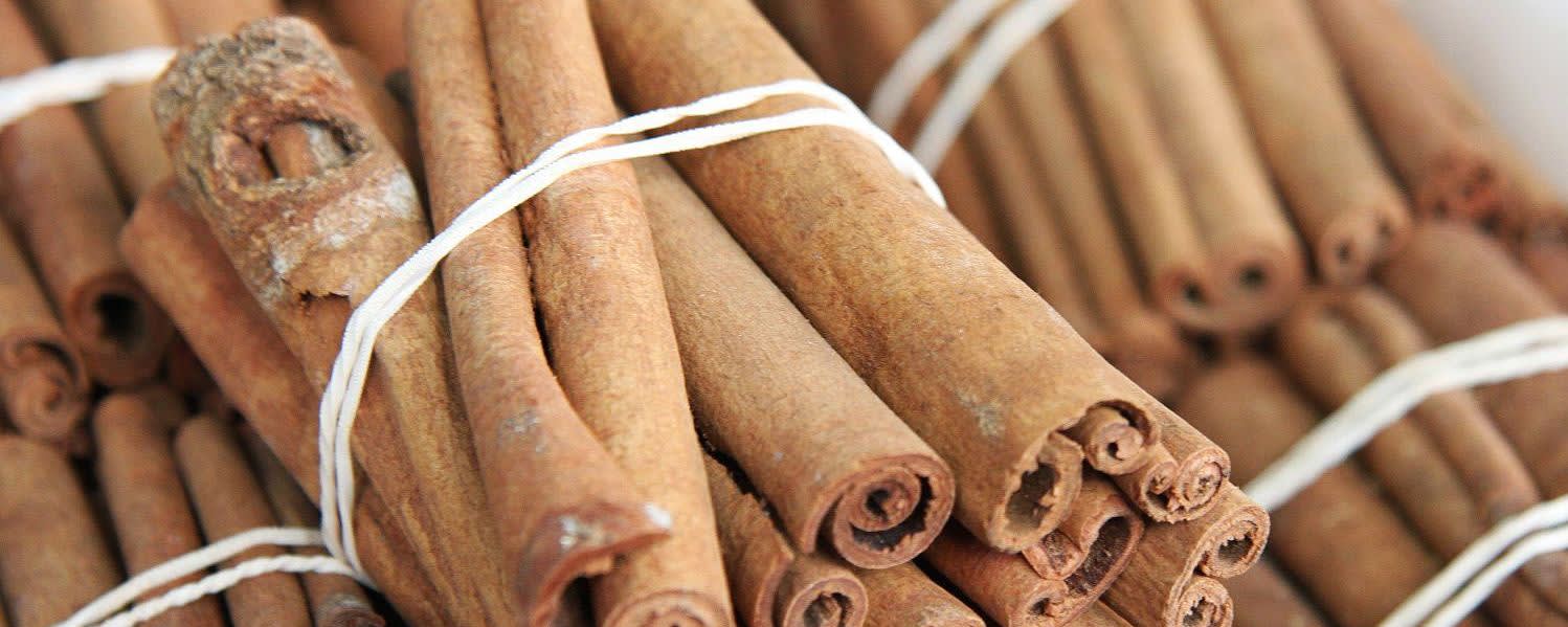 Givaudan Organics Natural Cinnamon WONF Flavor (UC-5384) banner