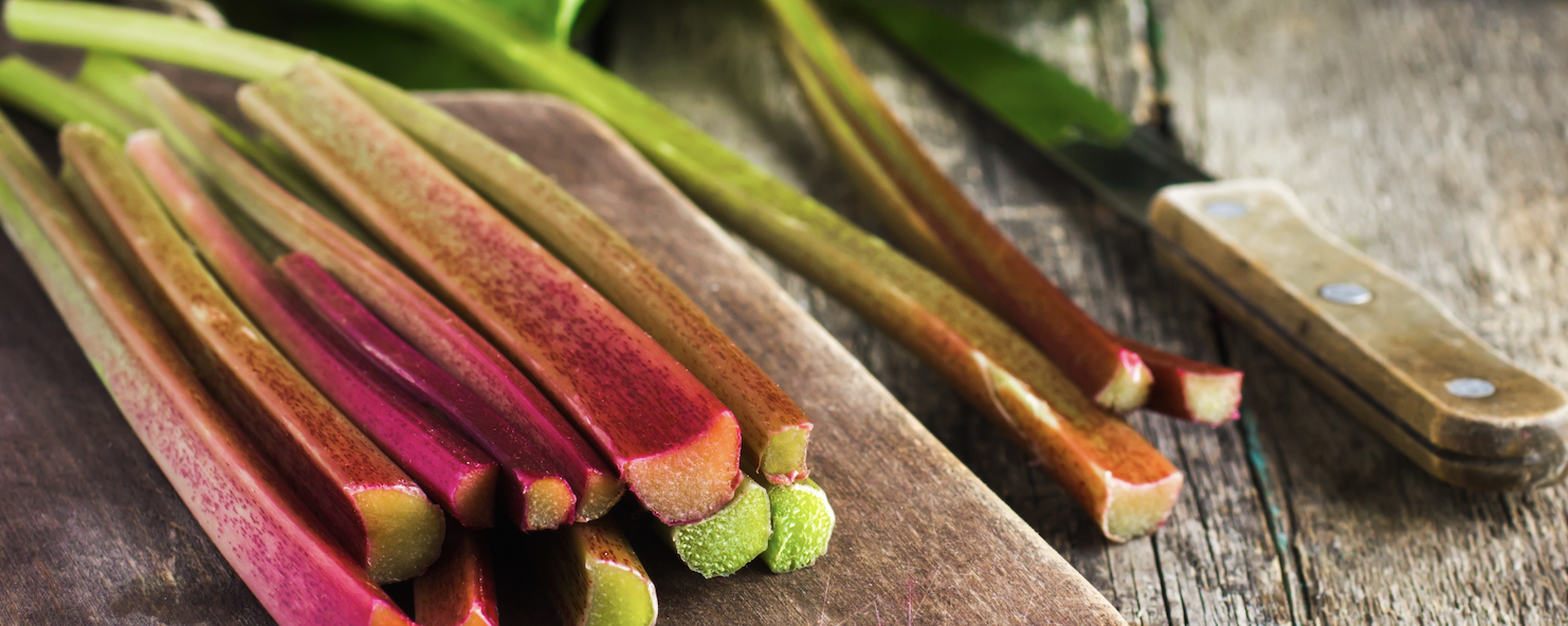 Givaudan Organics Natural Rhubarb Type Flavor (UD-5916) banner