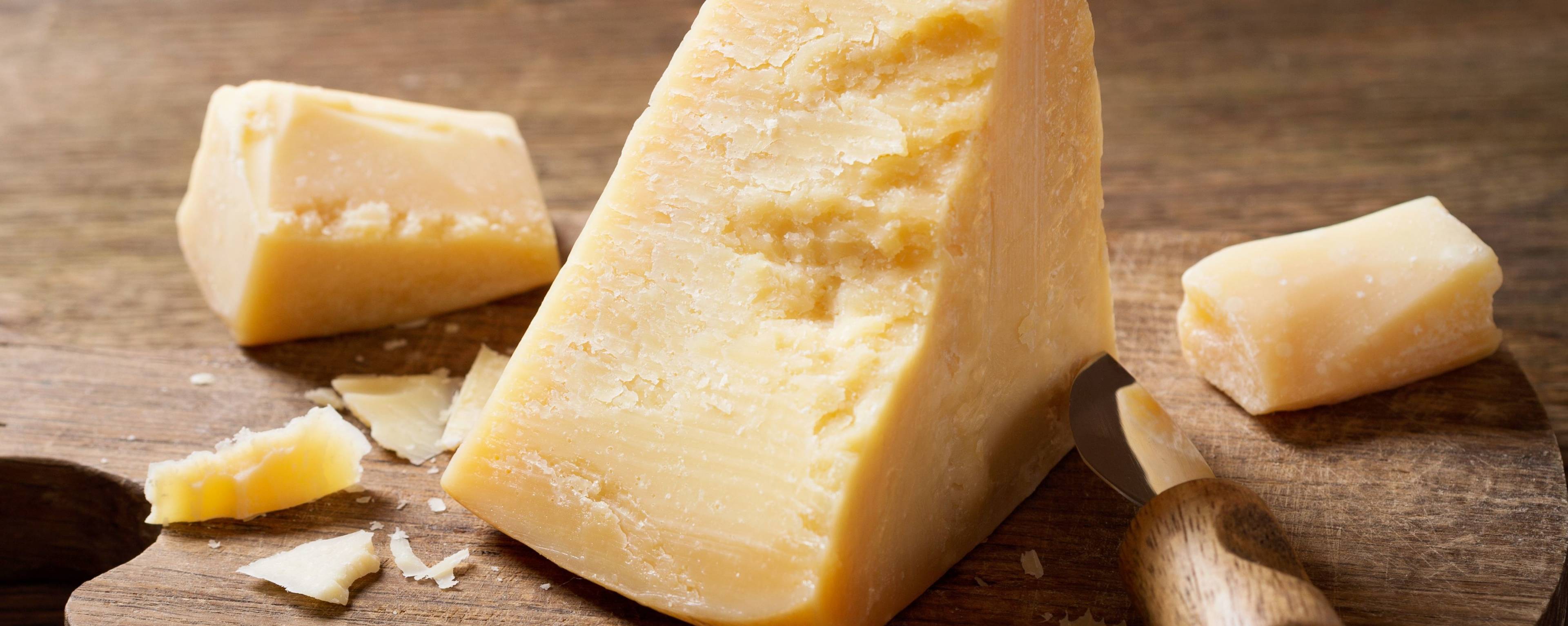 Givaudan Organics Natural Parmesan Cheese Type Flavor (UC-8716) banner