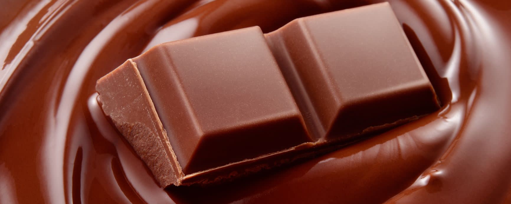 Givaudan Organics Natural Chocolate Type Flavor (UC-10833) banner