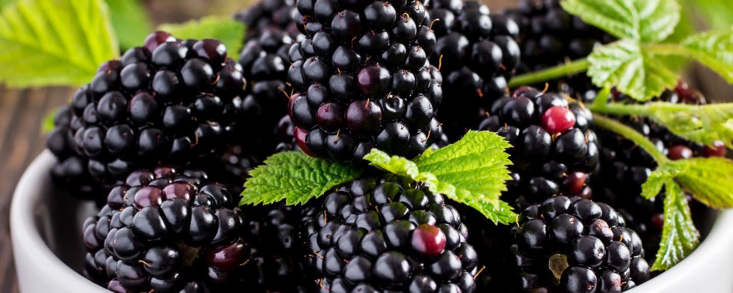 Givaudan Organics Natural Blackberry WON (UD-7062) banner