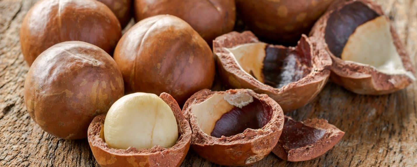 Givaudan Organics Natural Hazelnut Type Flavor (UE-1700) banner