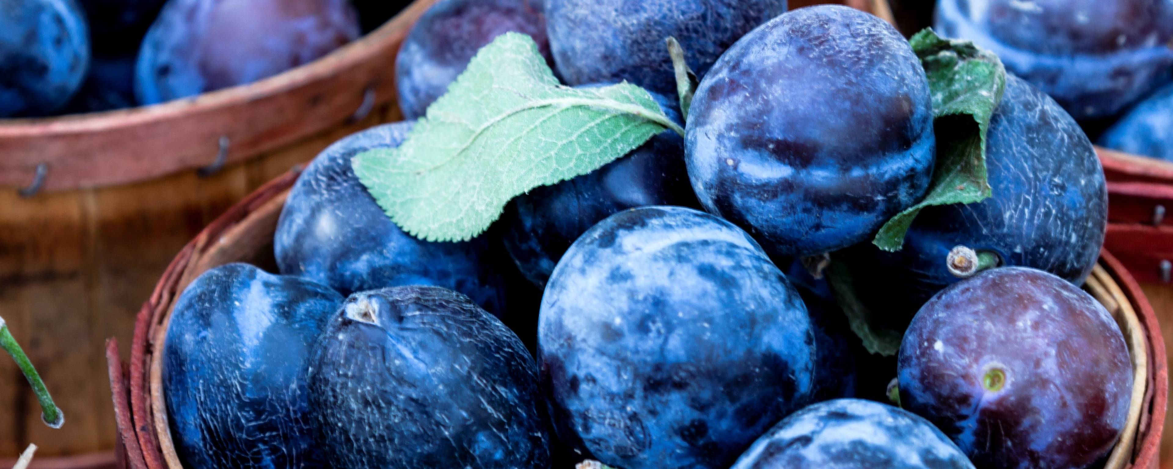 Givaudan Organics Natural Sweet Plum Type Flavor (UC-11213) banner