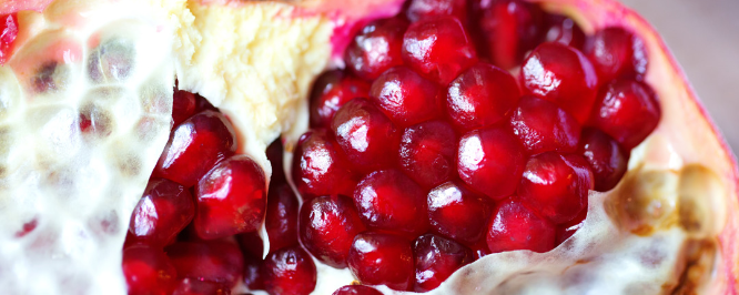 Givaudan Organics Natural Pomegranate WONF Flavor (UC-10573) banner