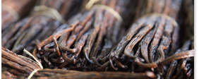 Givaudan Organics Natural Vanilla Cream Type Flavor (UD-3622) banner