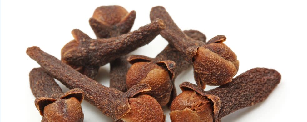 Givaudan Organics Natural Clove Type Flavor (UD-5917) banner
