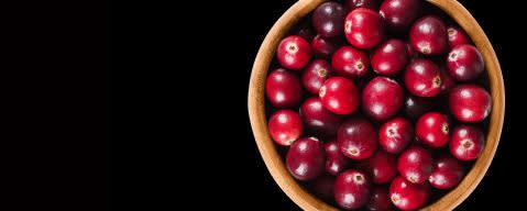 PRIMETIME Nat Cranberry Flavor WONF (BD-10374) banner