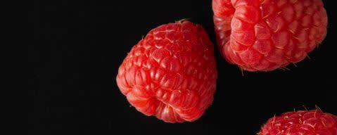 PRIMETIME Nat Raspberry Flavor WONF, Blue Raspberry Type (BD-10555) banner