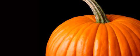 PRIMETIME EverFresh 100 Nat Pumpkin (puree) Flavor Type (BD-10449) banner
