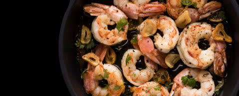 PRIMETIME EverFresh 101 Nat Shrimp Flavor Type (BD-11002) banner