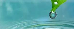 Agrosurf GF banner