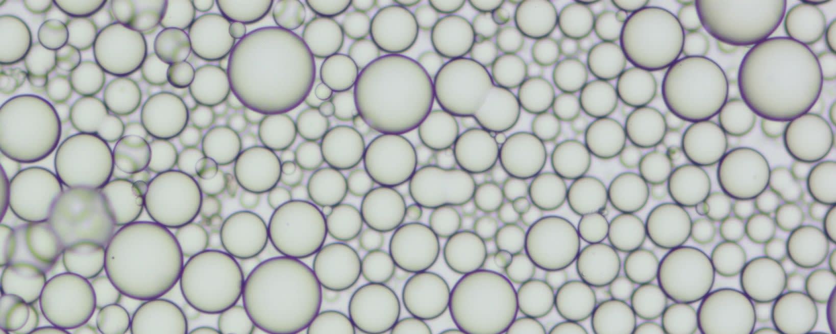 Esschem MMA Bead Copolymers banner