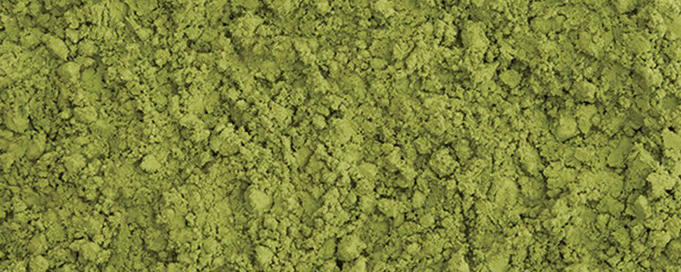 Sugimoto Tea Organic Matcha D banner