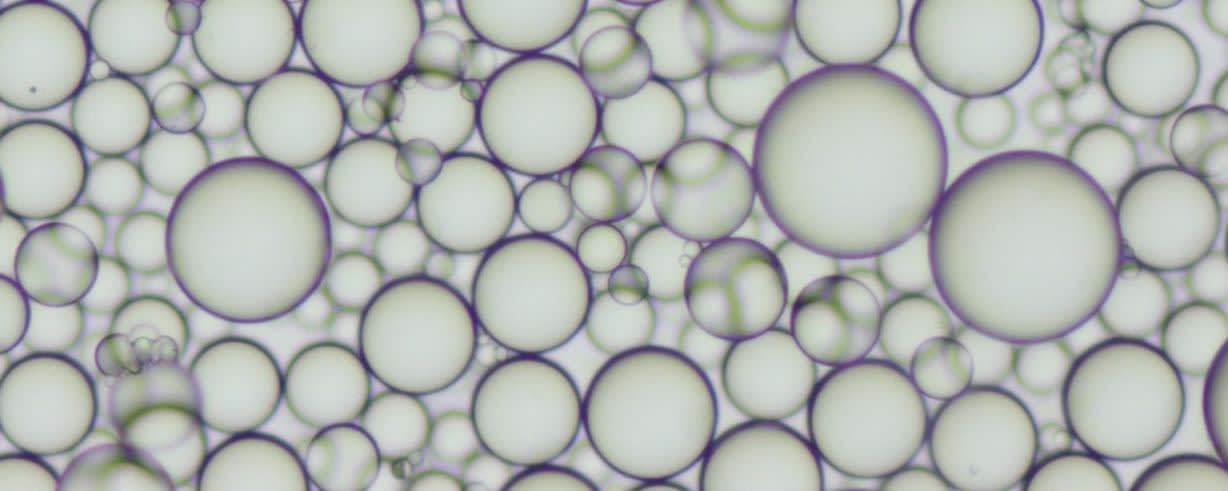Esschem Bio-plasticized / MMA Bead Polymers banner