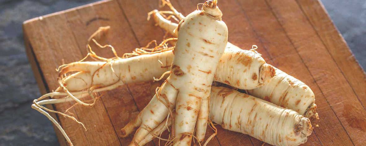 Naturex PANAX GINSENG ROOT PE 5% GINSENOSIDES (EC841491) banner