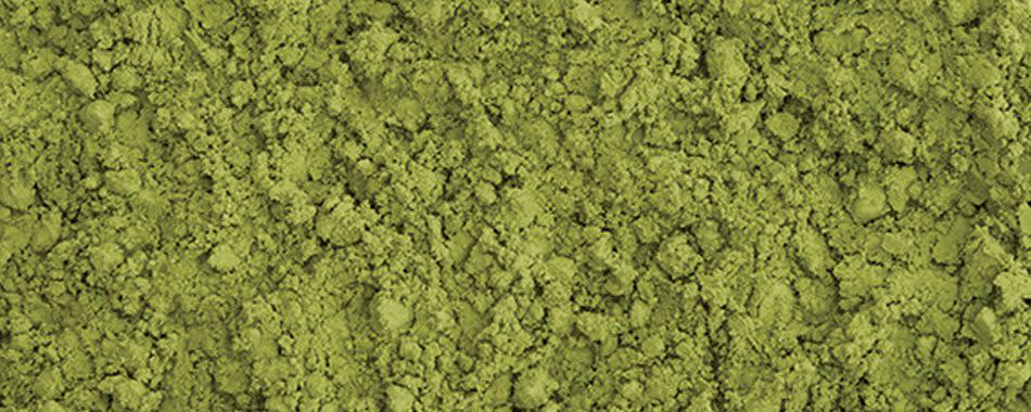 Sugimoto Tea Organic Matcha E banner