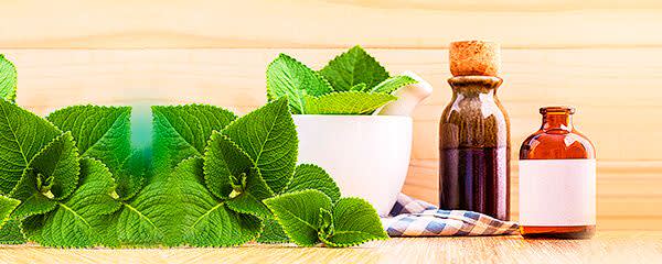 Bio-Botanica Hyssop Herb In Butylene Glycol banner