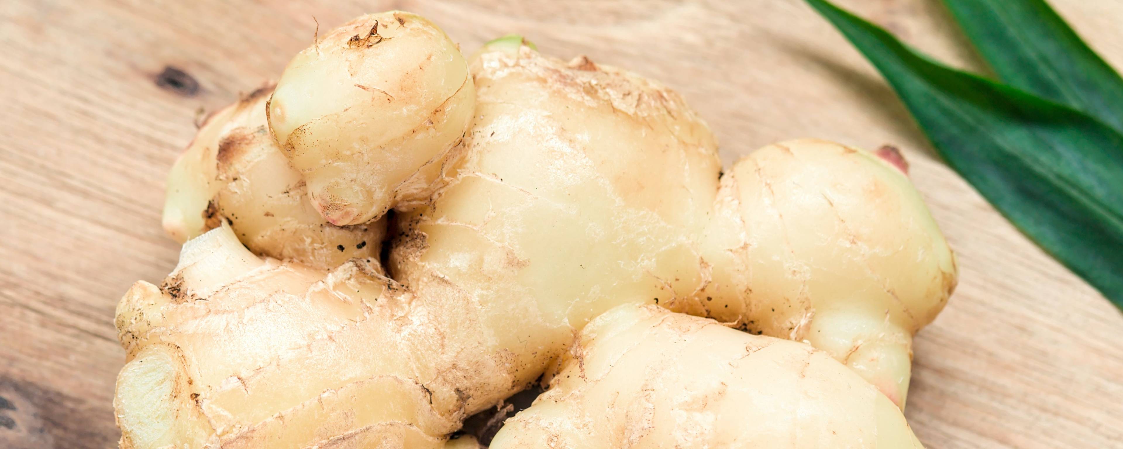Callisons Ginger Flavor NAT WS (104439) banner