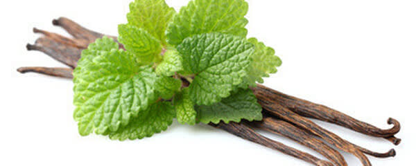 Callisons Vanilla Mint Flavor NAT WONF OS (1834703) banner