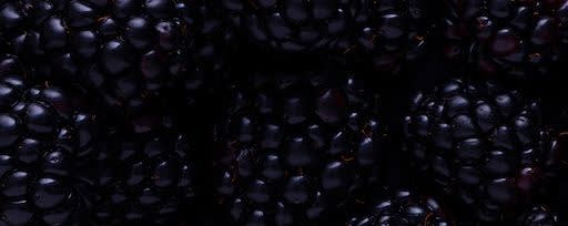 Callisons Blackberry Flavor N&A SD (112160) banner