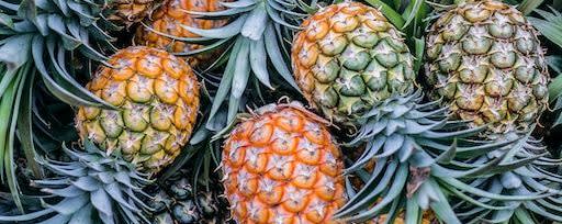 Callisons Pineapple Type Flavor NAT SD (112132) banner