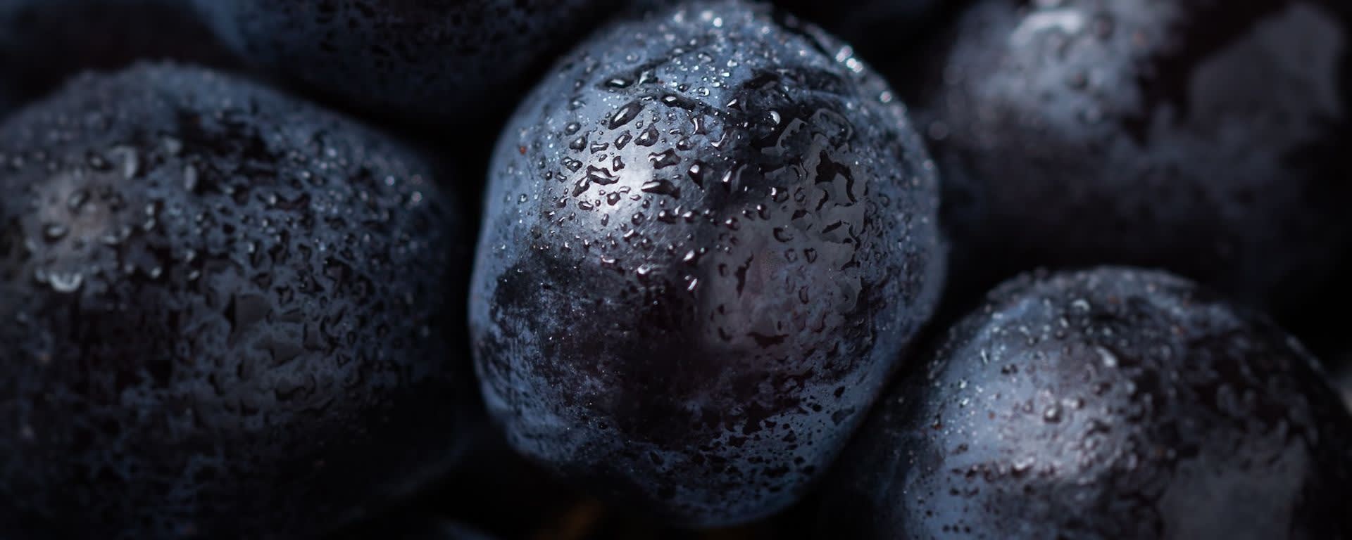 Callisons Grape Type Flavor NAT WS (110388) banner