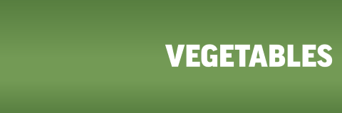 Cucumber Treattarome® 9721 banner