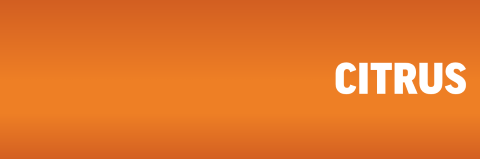 Fresh Lemon TreattClear™  banner