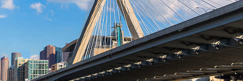 Dynasylan® banner