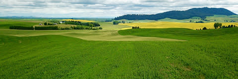 Hemp Fine Hurd Milled 10 banner