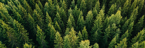 Piccolyte® S115 banner