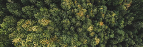 Staybelite® Ester 5 banner