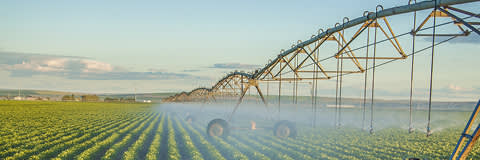 Bluesil™ SP 3307 banner