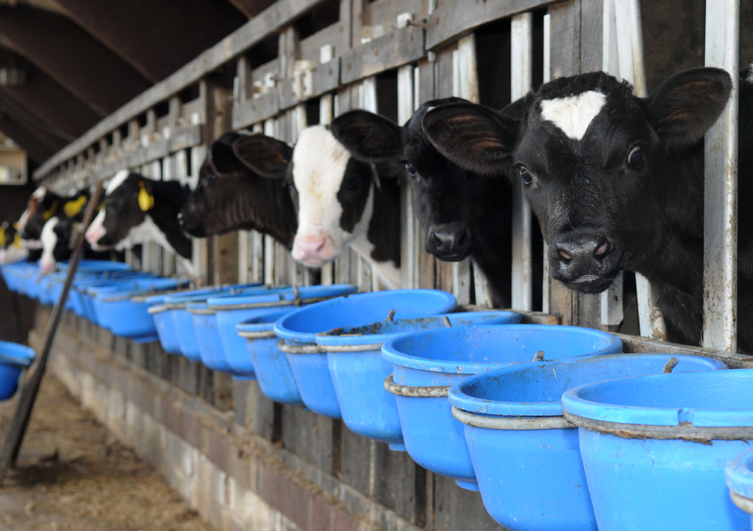 ETHOCEL™ Standard 45 Food Grade Ethylcellulose - Feed banner