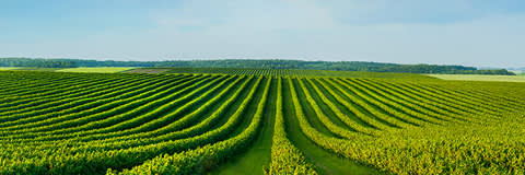 TERSPERSE® 2700 banner