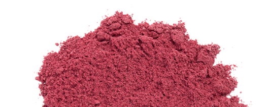 Berryceuticals Seed Protein Powder banner