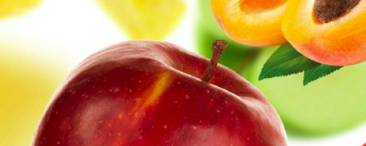 TrentoFrutta Apricot Puree Concentrate banner