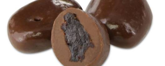 Georgia Nut Company No Sugar Added Milk Chocolate Raisins banner