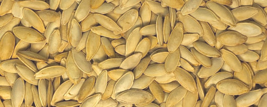 Pumpkin Seeds Roasted and Salted - Lady Nail banner