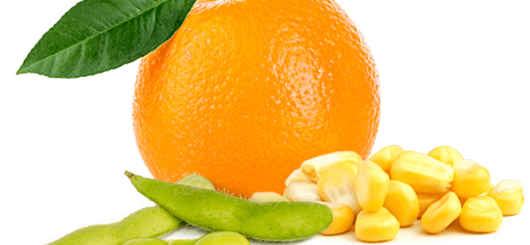 VertecBio™ Citrus #4 banner