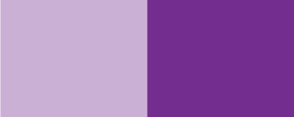 FCF PCD Liquid Dyes Purple Rs (#PCD16733) banner