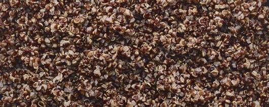 FURMANO'S® Fully Cooked Red Quinoa banner