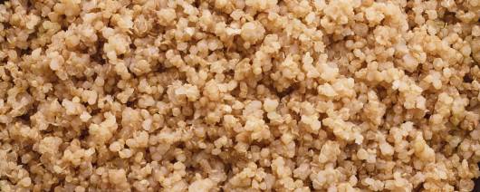 FURMANO'S® Fully Cooked Quinoa banner