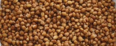 FURMANO'S® Fully Cooked Lentils banner