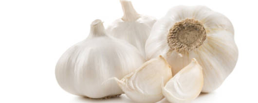 Tulkoff® Chopped Garlic in Water banner