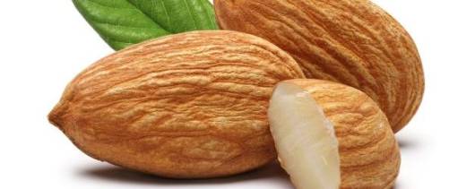 Organic Almond Protein 50% - Austrade, Inc. banner