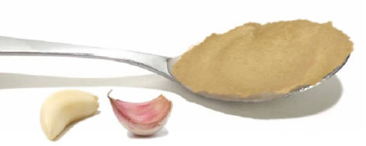 Red Oak Foods Cooked Garlic Puree (Type PAE), Aseptic banner