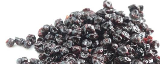 Kandy® Candied Blackcurrant (OK1CZP001-P10) banner